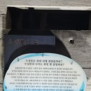 벌떼둥지 이미지