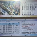 숲속의 집 이미지