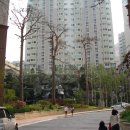 평내서울치과의원 이미지