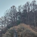 광명당 | 단양 여행 가볼만한곳 날라리공주가 구인사 다녀온 후기입니다