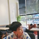 [평촌] 세라젬 웰카페 안양평촌점 초등학생 어린이 V7 안마기 무료 방문 체험 후기