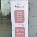 청북햇살 동물병원 이미지