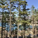 품다 하나 이미지