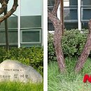 호계복합청사(호계3동 주민센터) 이미지