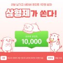 [네이버] 한돈 등뼈 3kg 돼지등뼈 감자탕 재료 (12,900원) (네멤버쉽 무료) 이미지