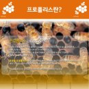 쿠라빌