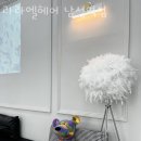 라라엘헤어