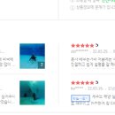 잠실스킨스쿠버다이빙
