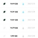 포레스텝 어플 사용후기🌱