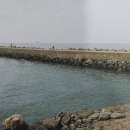 마도입구.신진도 네이버블로그
