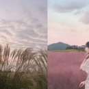 가을노을C 이미지