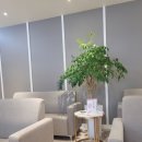 청춘신경과의원 이미지