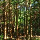 하늘스크린골프＆아카데미 이미지