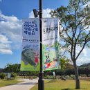 2021 태화강 빛 축제 이미지