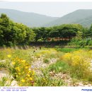 해운대에 올라 이미지