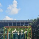 송림목장 | [서천/브라운핸즈 송림동화] 맥문동 축제 즐기고 커피 한잔 딱!