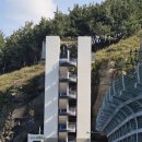 김밥나라남부점 | 독도 여행 2 / 내맘대로 동쪽 코스 / 나리분지, 관음도, 봉래폭포, 촛대바위 / 아리랑식당, 김밥의 여왕