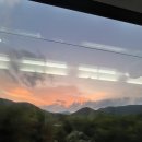 초밥학