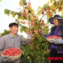 지리산꾸지뽕농장 이미지