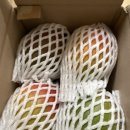 효돈농업협동조합 | 인터넷 맛있는 과일 사이트- 온브릭스 온브릭스 후기