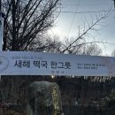 야나기참치 이미지