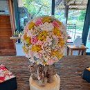 씨에스 호텔 이미지