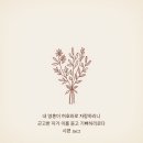 별이용원 - 통영시 중앙로 24 | 별이용원