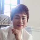 라임인셀덤