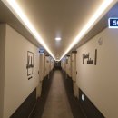 알로하 호텔 | 포천 일동 호텔 알로하 이용 후기