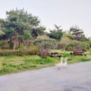 동인사슴농원 이미지