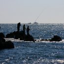 대자연낚시 이미지