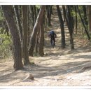 봉무공원 주차장 이미지