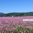 별내참사랑의원 이미지