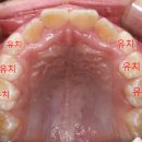 에이플치과교정과치과의원 이미지