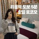 호텔 준(HOTEL JUNE) | 파리 신혼여행 가성비 숙소 추천｜12구 리옹역 호텔 로코모 Hotel Locomo