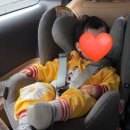 제주 조우아 이미지