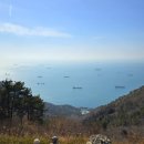 백스비어남포점 | [기억저장소] 250216 부산영도 봉래산오르고 먹방찍었던 더블데이트