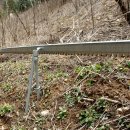 김종섭농장 이미지