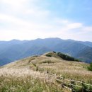 은빛초등 이미지