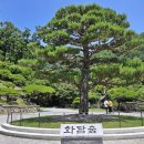 화담숲_곤지암_20250622 이미지