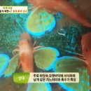 감포별미횟집 이미지