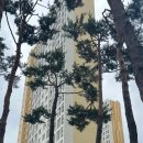 힐스114공인중개사사무소 | 발품 팔아 찾은 우리 집, 매물 확인 부터 계약까지 ? (신혼부부 임장기 5편)