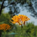 드림파크 이미지