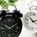 메일리데이 이미지