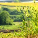 두산목장 이미지