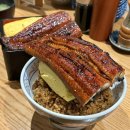 이즈모 | 오사카 여행 - 오사카 맛집 장어덮밥 이즈모 우나기 (이즈모 루쿠아 본점) 예약 / 솔직후기
