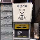 꽃길걷개 이미지