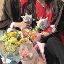 도연2호 | 첫 풀코스 ; 2026 대구마라톤