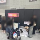 사전등록 무료입장! 수원 펫&캣쇼에서 콩돌이 선물 한가득 사온 후기
