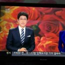 저희가 MBC TV와 한겨레신문과 김해 뉴스에 나왔네요^^ 이미지
